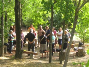 Incontro fra il verde